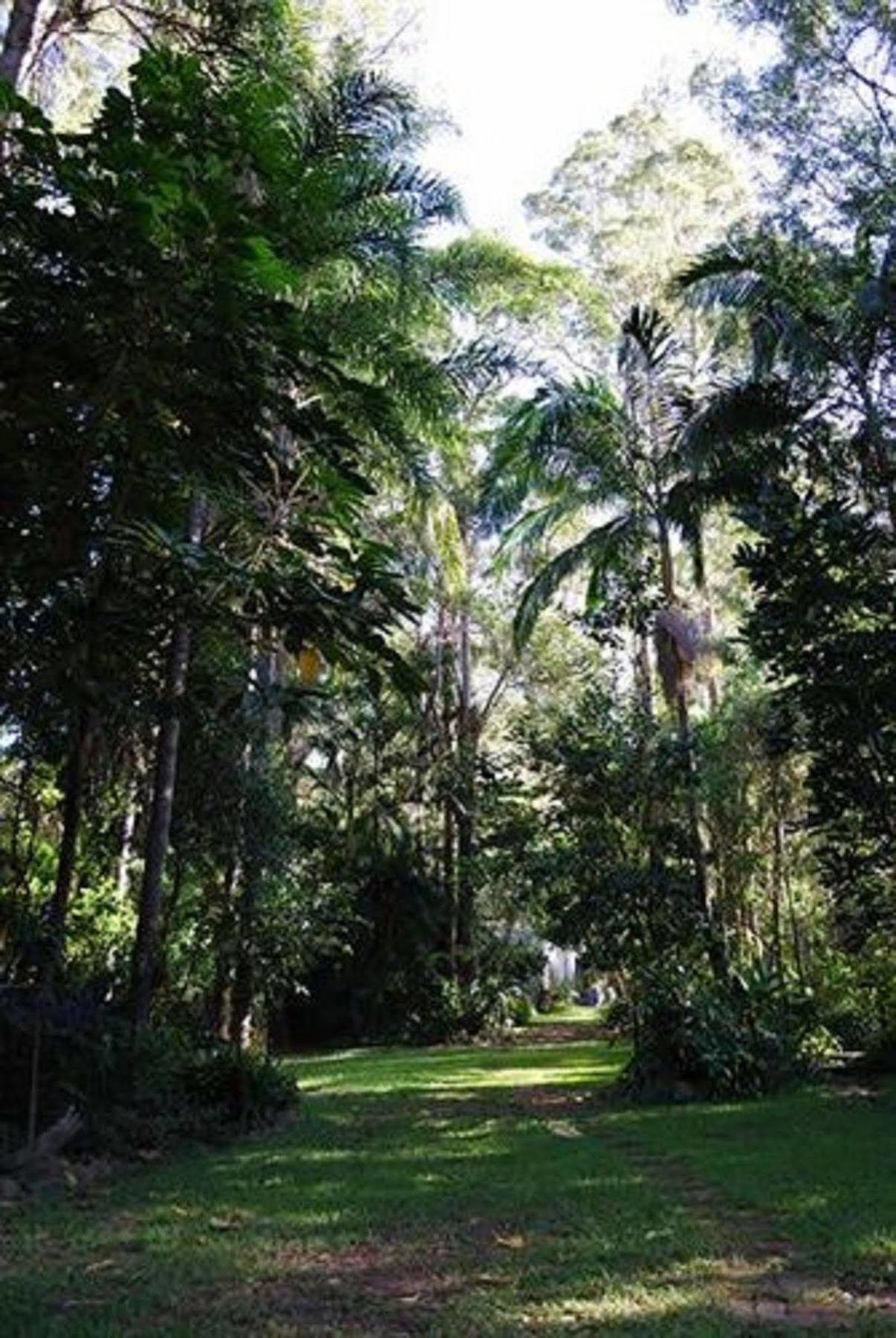 Rumbalara Bed And Breakfast Gold Coast Exterior photo